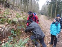 Sortie Phalsbourg CV Wingen 28 02 2016 (46)